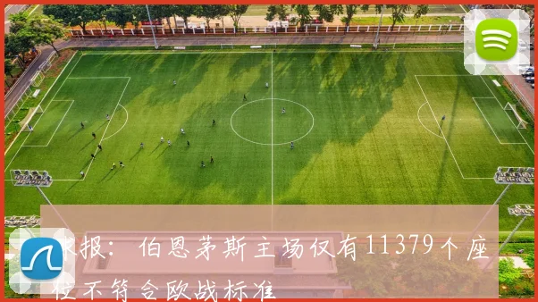 球报：伯恩茅斯主场仅有11379个座位不符合欧战标准